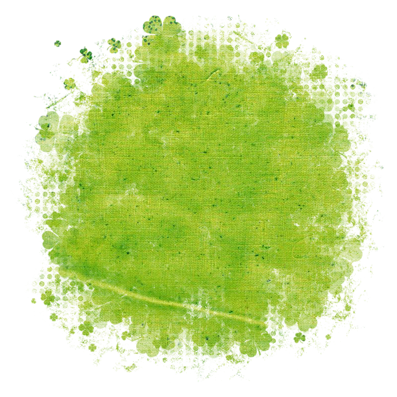 saintpatricksdayschizo800x800-003