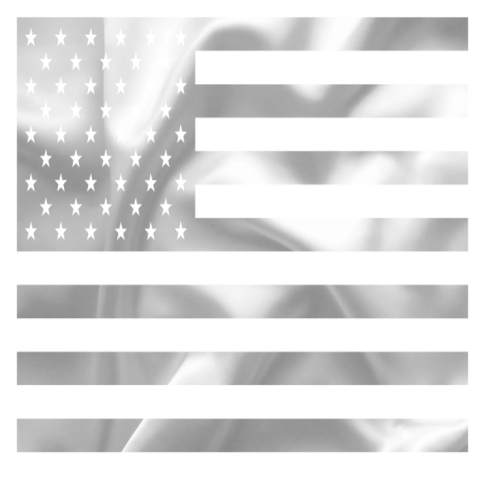 asylumpatrioticmasked-700-061