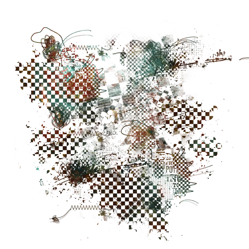 2025-DesignsbyForteMasked800x800-112