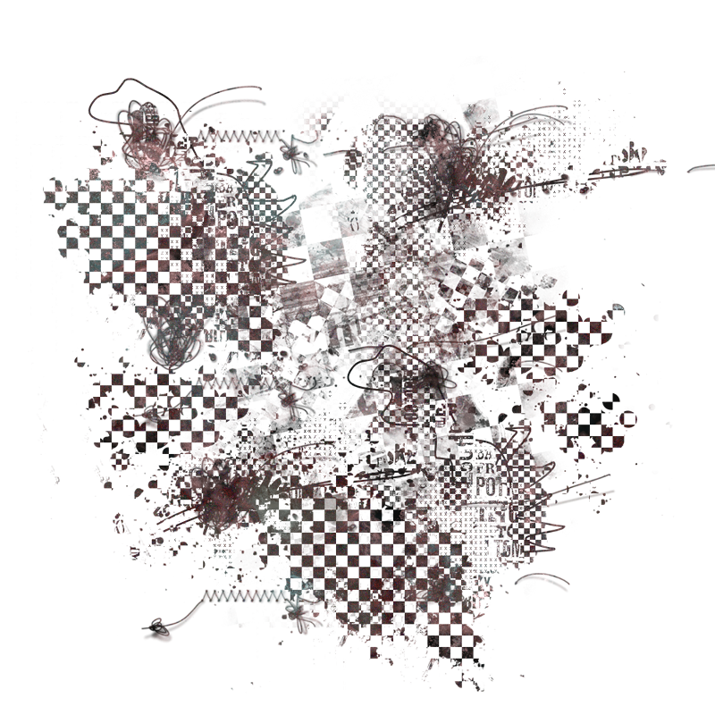 2025-DesignsbyForteMasked800x800-114