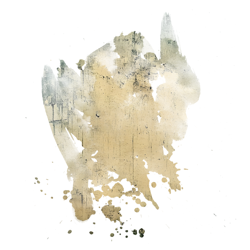 2025-DesignsbyForteMasked800x800-126