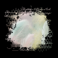2025-DesignsbyForteMasked800x800-066 2025-DesignsbyForteMasked800x800-066