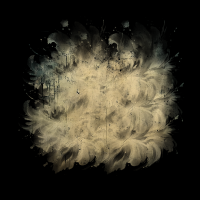 2025-DesignsbyForteMasked800x800-136 2025-DesignsbyForteMasked800x800-136