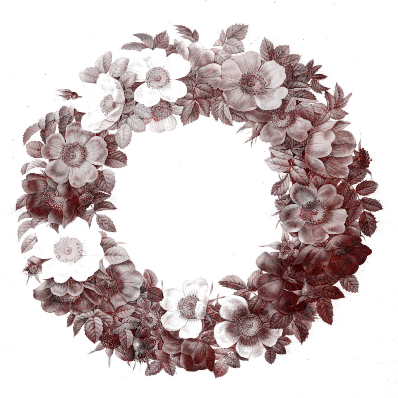 wreathmaskedbackground800x800-060