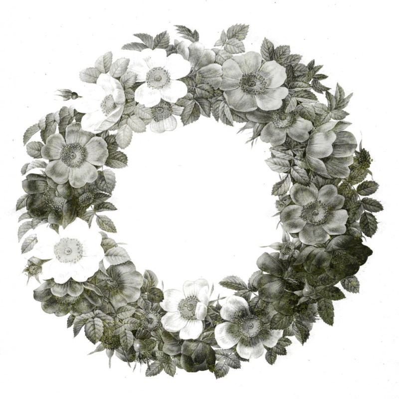 wreathmaskedbackground800x800-061