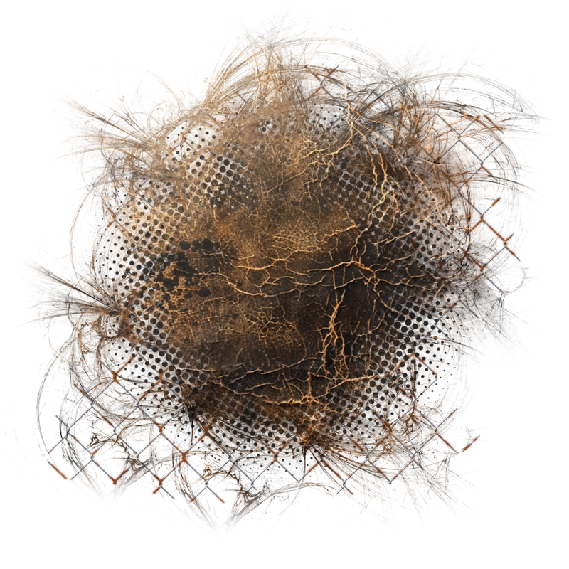 2026-designsbyforteelement-007