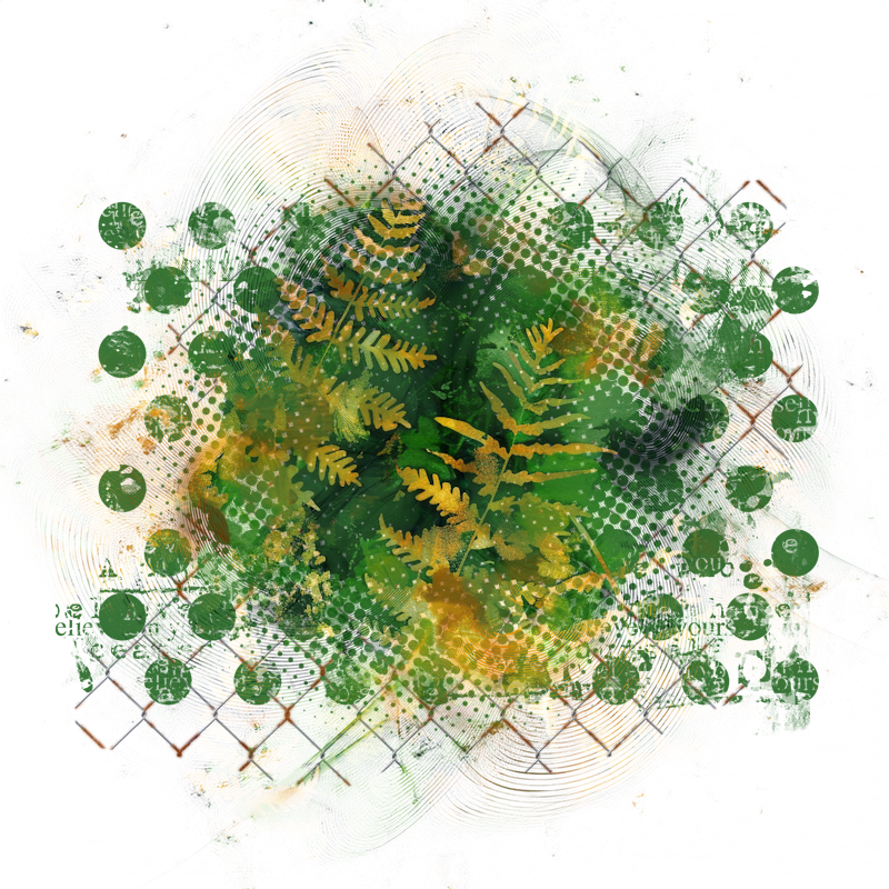 2026-designsbyforteelement-202
