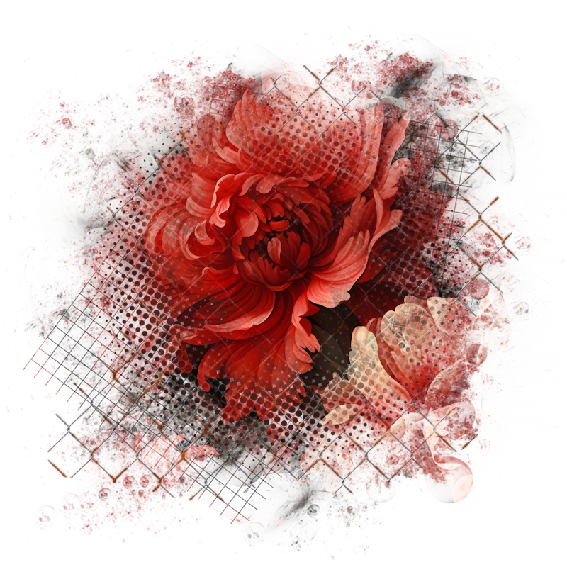 2026-designsbyforteelement-364
