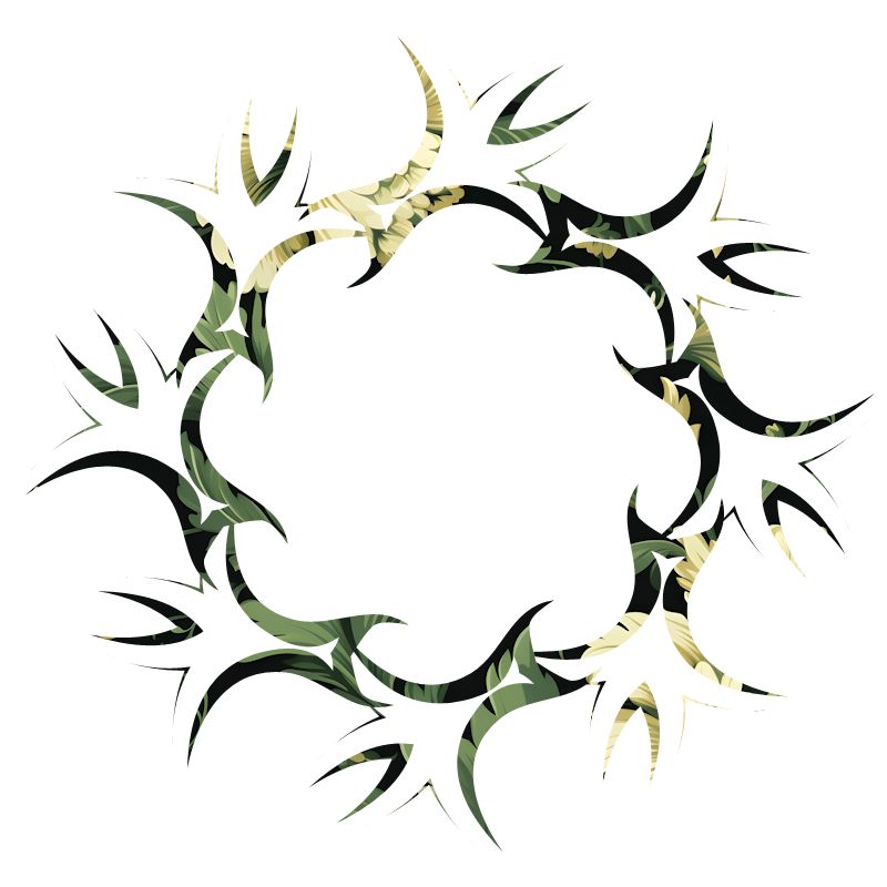 2026-DesignsbyForteFrames-147