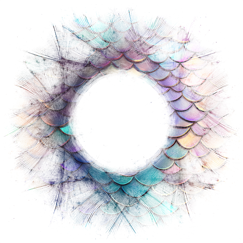2026-DesignsbyForteFrames-191