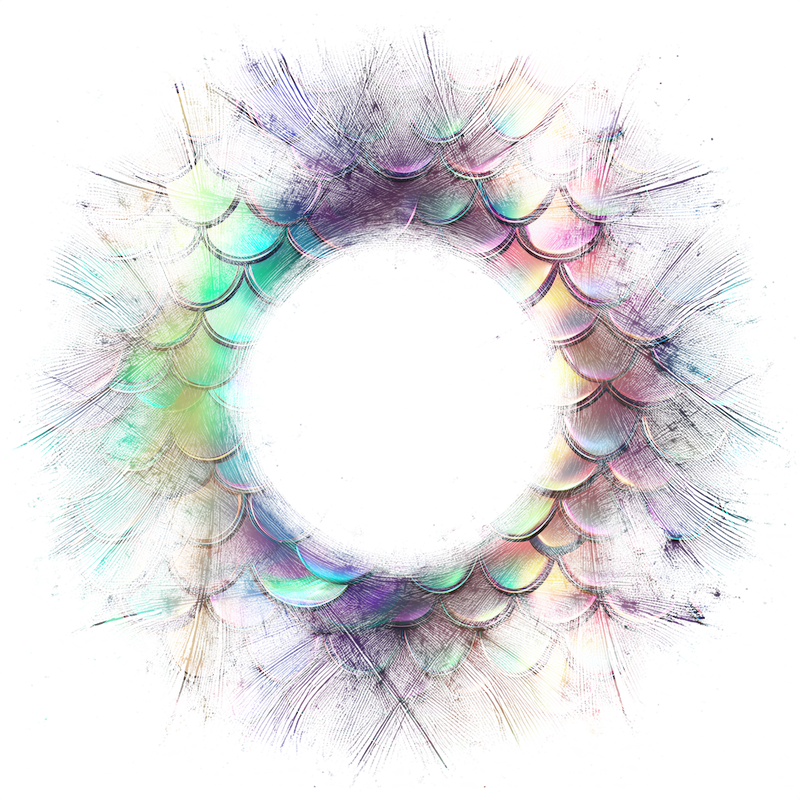2026-DesignsbyForteFrames-193