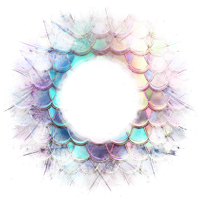 2026-DesignsbyForteFrames-194