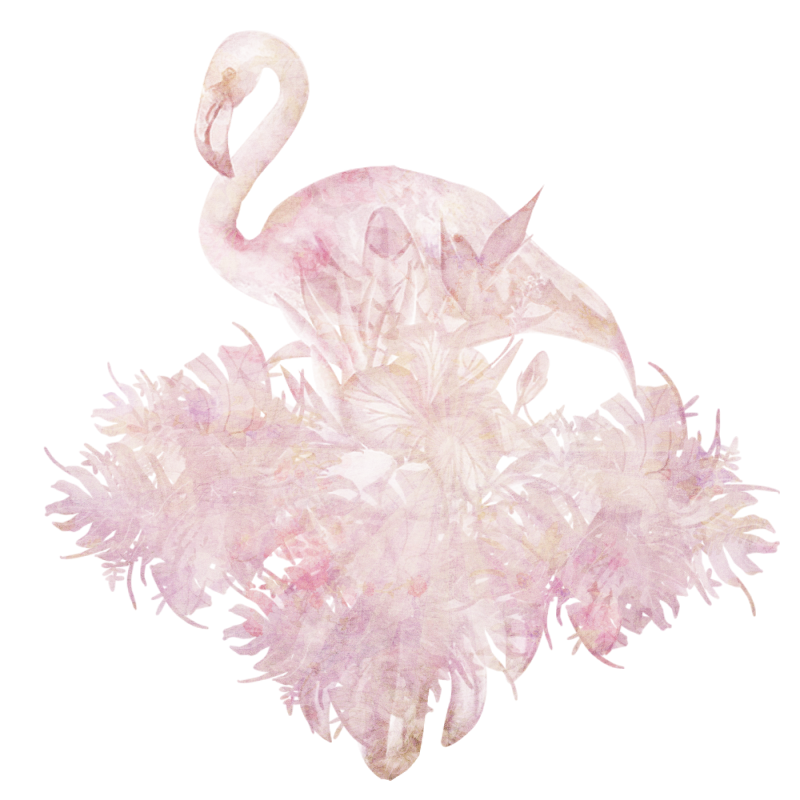 saltlifeflamingoasylum-048