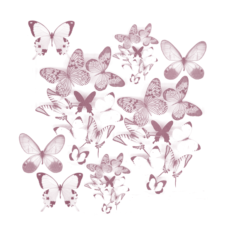 asylumbutterflymaskedbkgd-a278