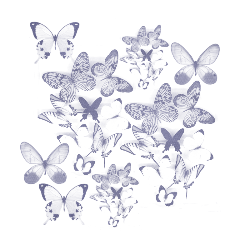 asylumbutterflymaskedbkgd-a279