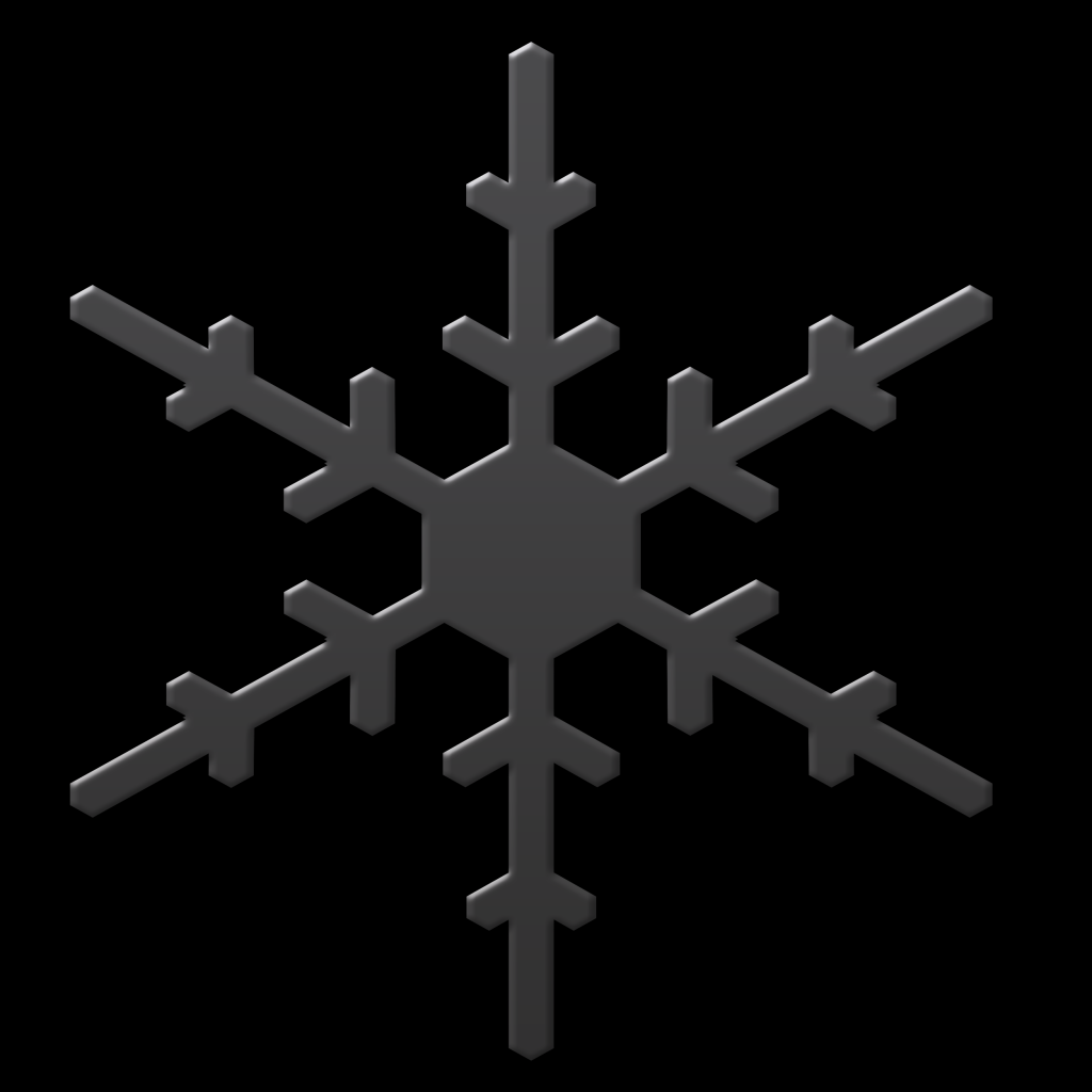 2025-ForteSnowflake-002