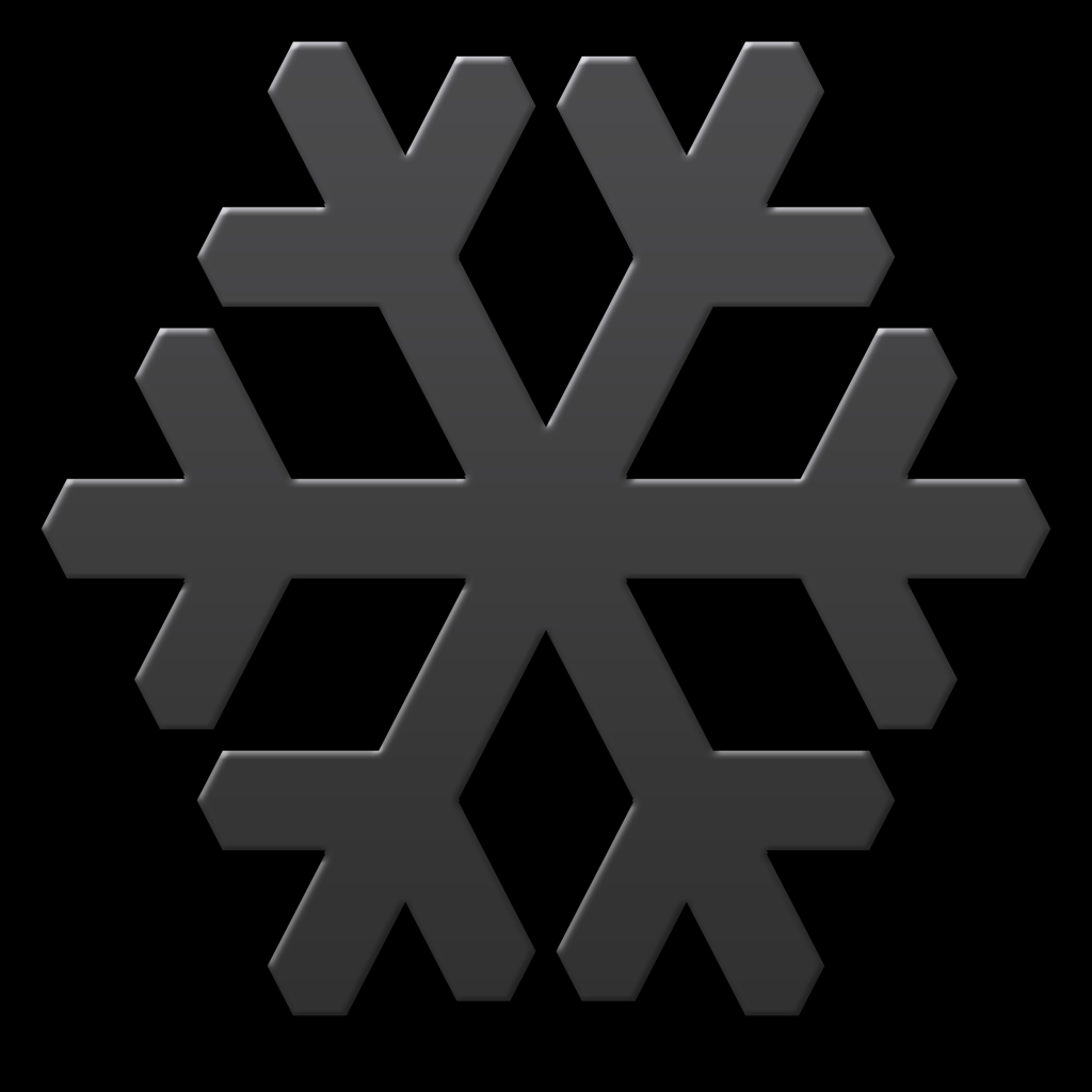 2025-ForteSnowflake-007