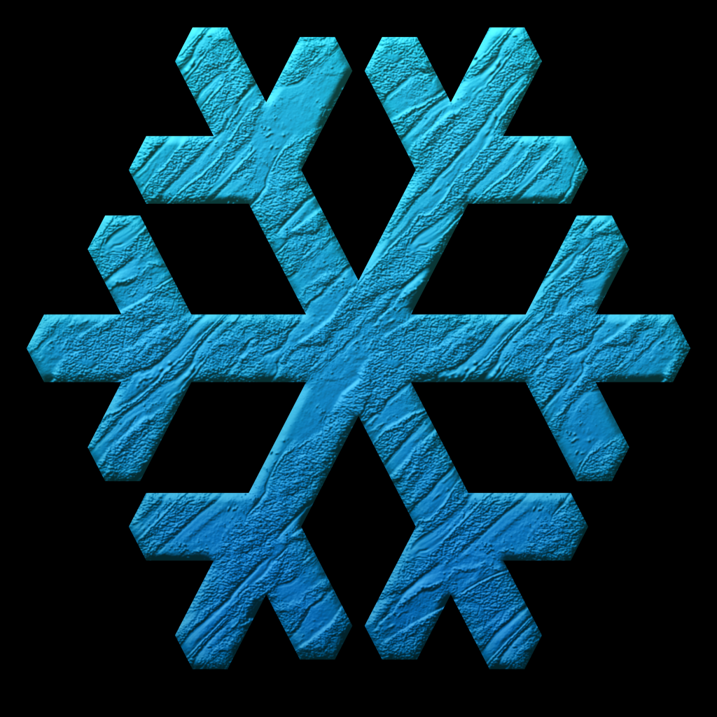 2025-ForteSnowflake-011