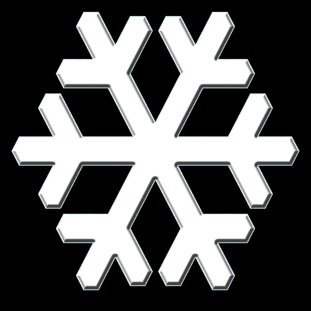 2025-ForteSnowflake-018