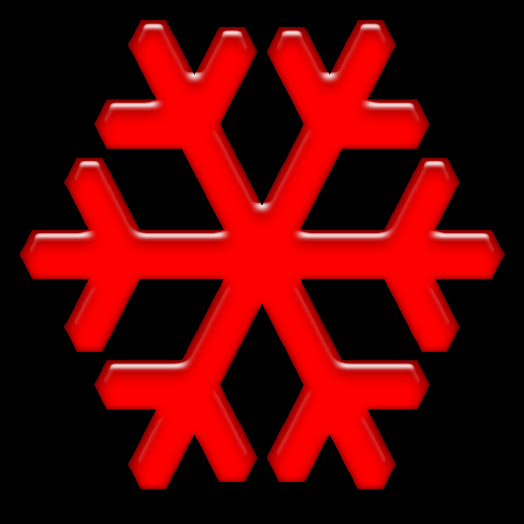 2025-ForteSnowflake-019