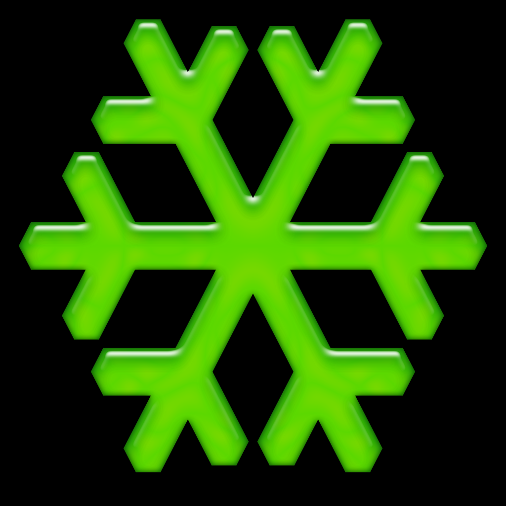 2025-ForteSnowflake-020