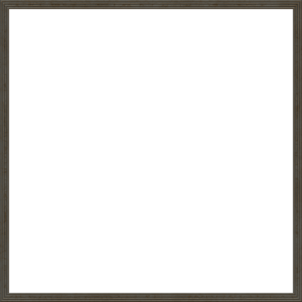 theasylumframe1000x1000-004