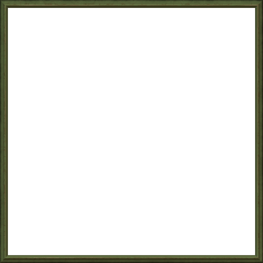 theasylumframe1000x1000-005