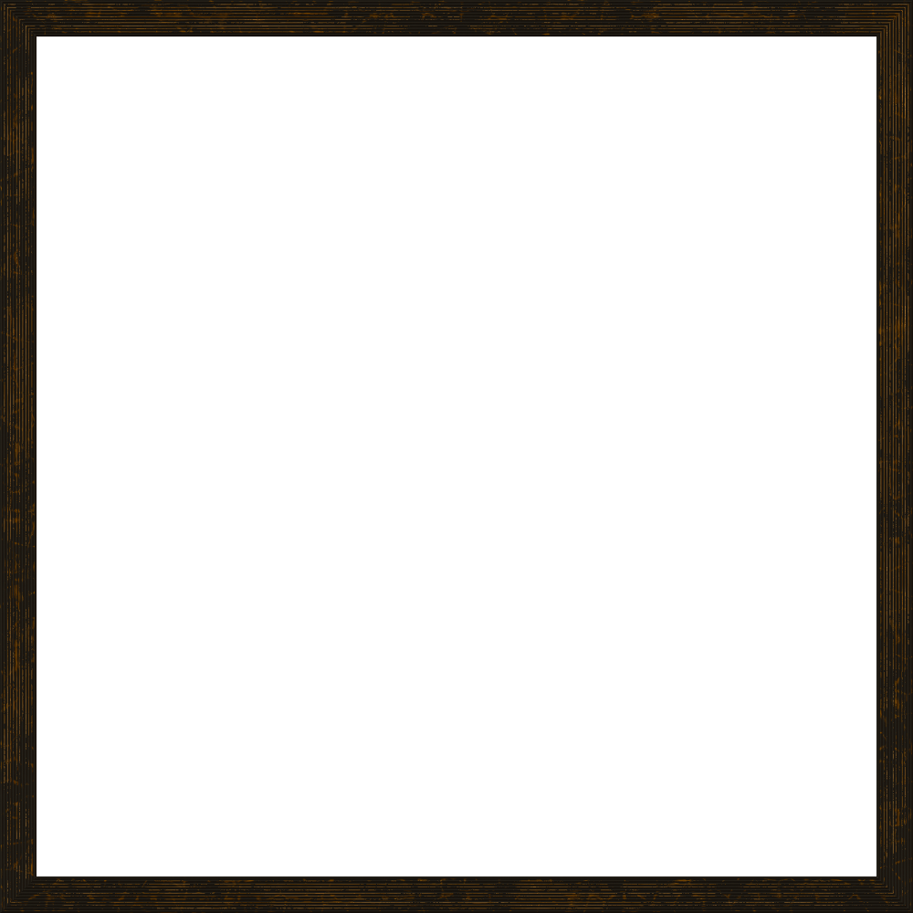 theasylumframe1000x1000-007