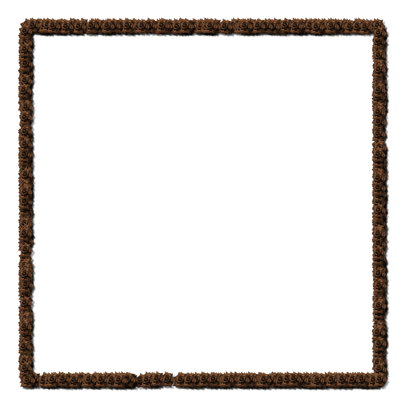 asylum800x800frameborder-003