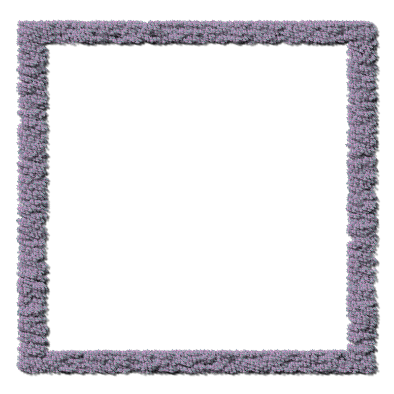 asylum800x800frameborder-006