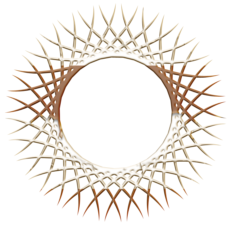2026-DesignsbyForte800x800Frame-082