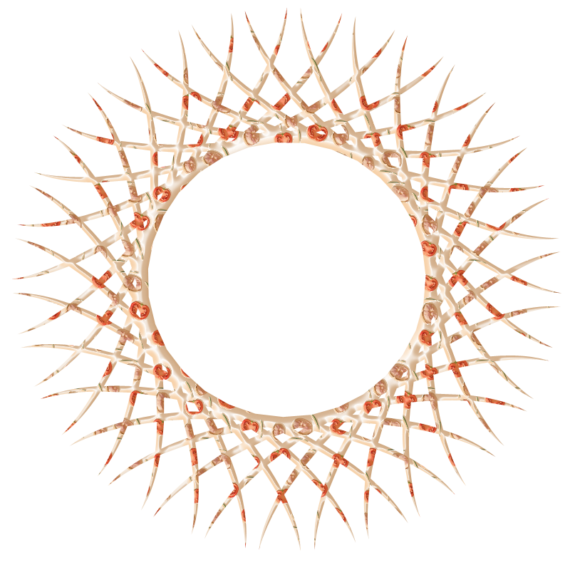 2026-DesignsbyForte800x800Frame-084