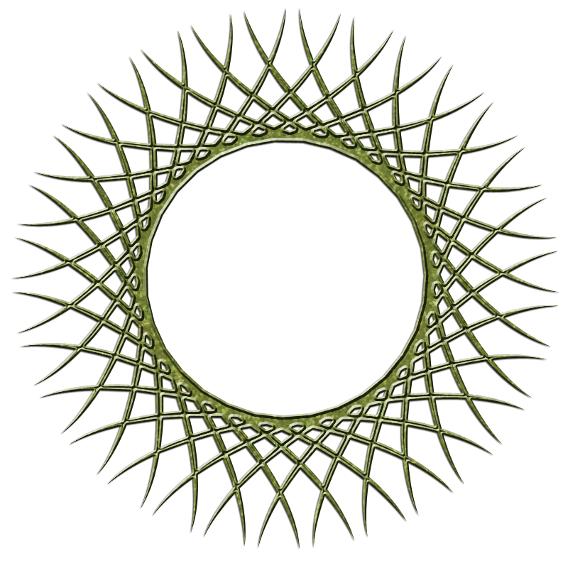 2026-DesignsbyForte800x800Frame-090