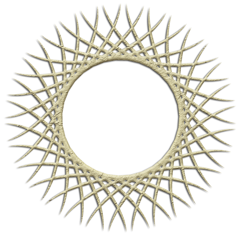 2026-DesignsbyForte800x800Frame-095