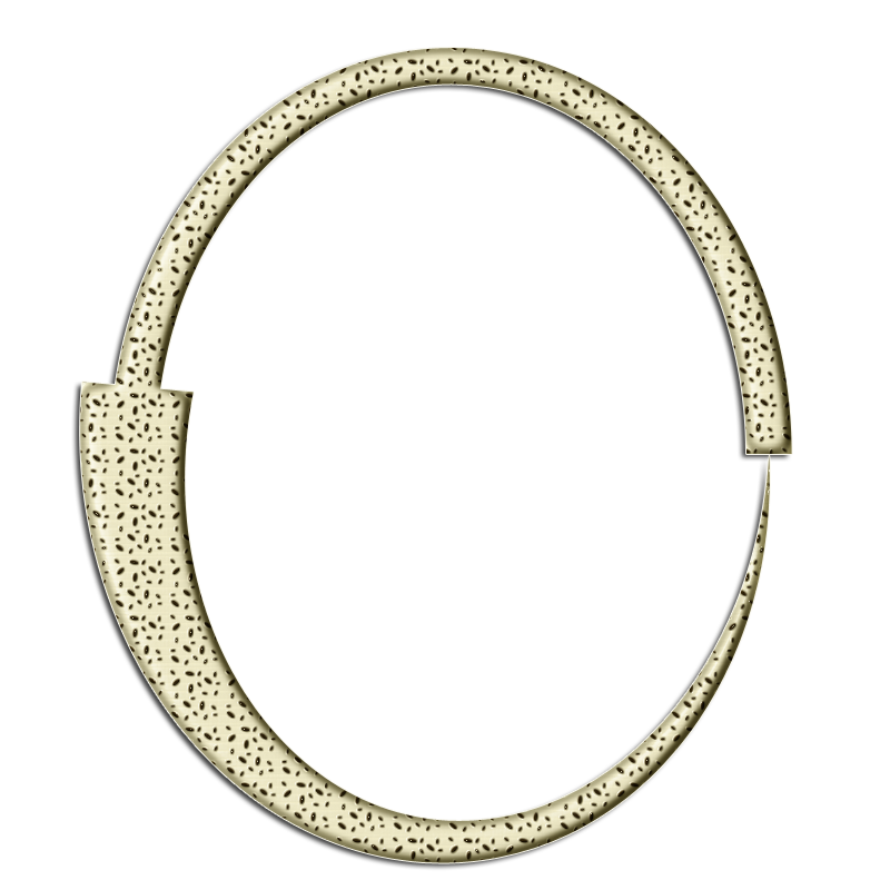 2026-DesignsbyForte800x800Frame-108