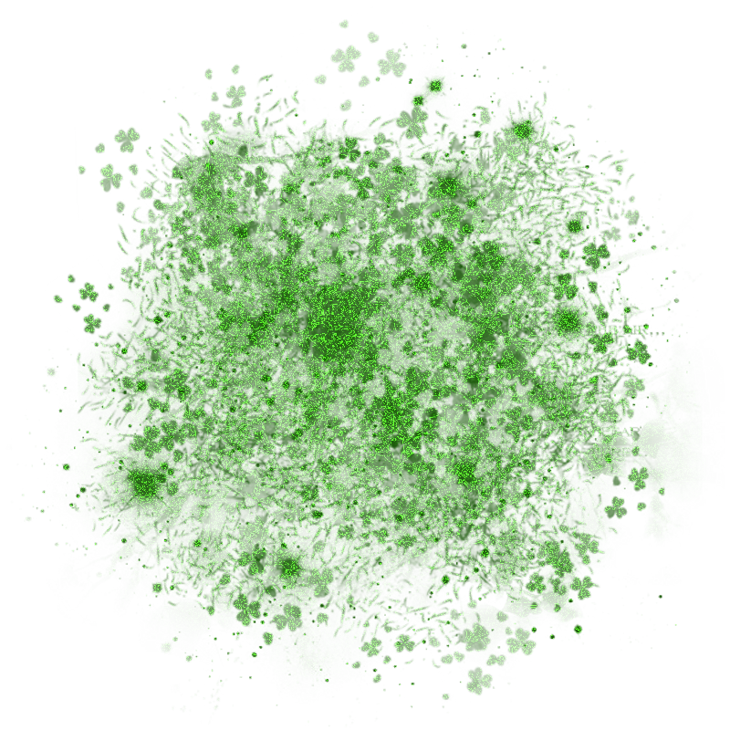 saintpatricksdaytrans800x800-021