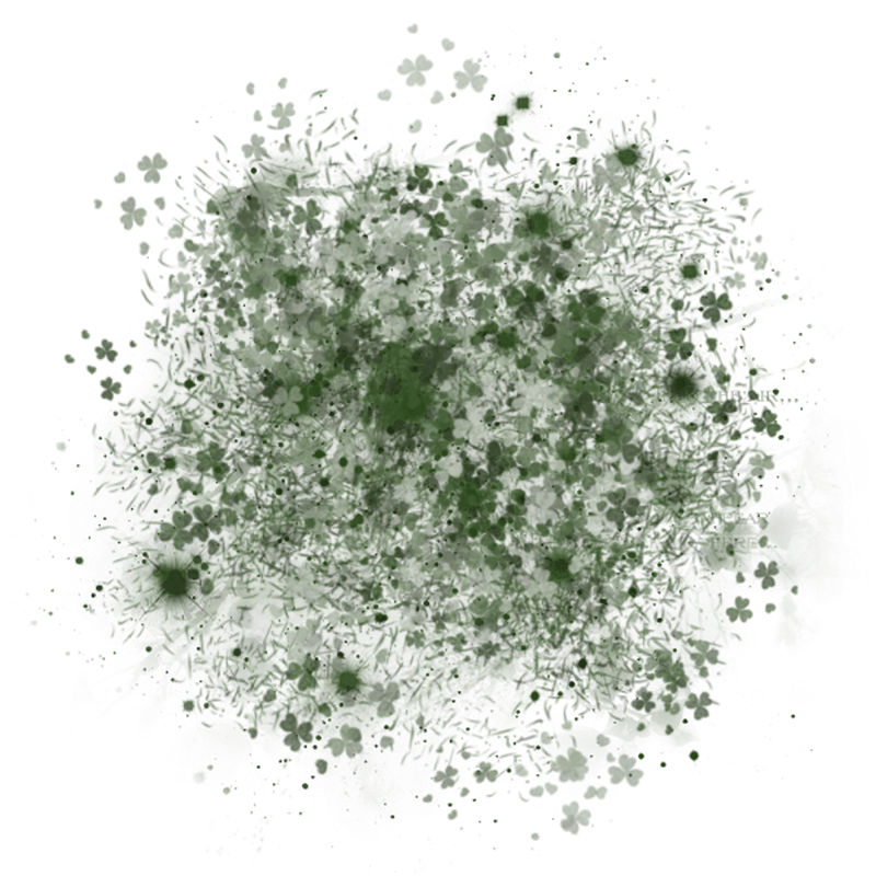 saintpatricksdaytrans800x800-025