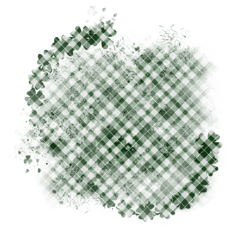 saintpatricksdaytrans800x800-048