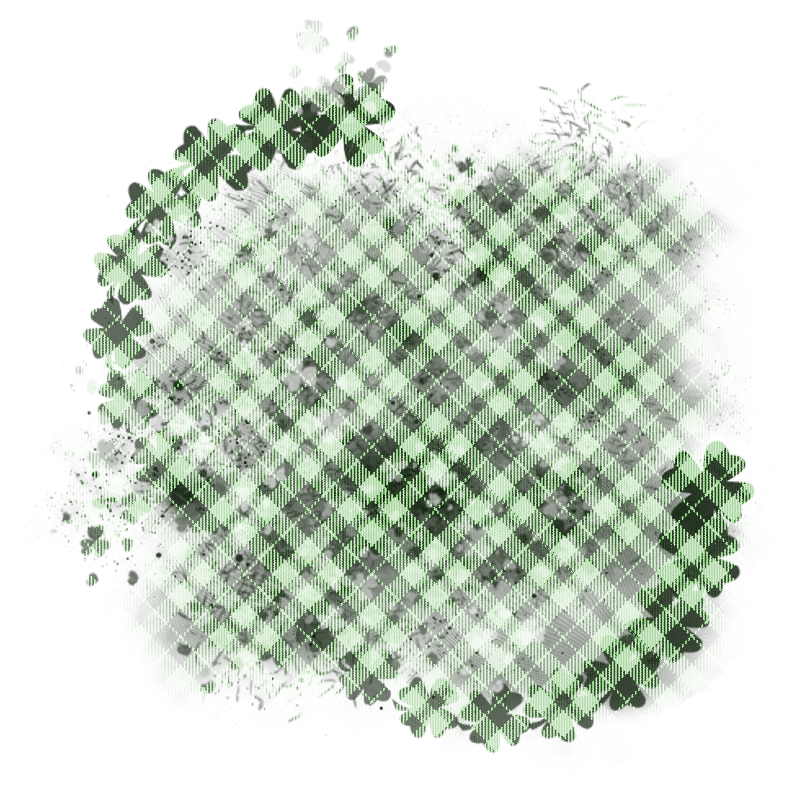 saintpatricksdaytrans800x800-049