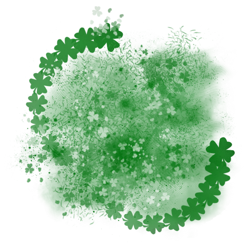 saintpatricksdaytrans800x800-051