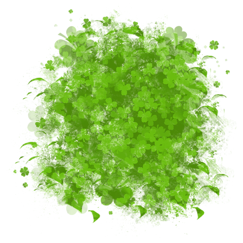 saintpatricksdaytrans800x800-078