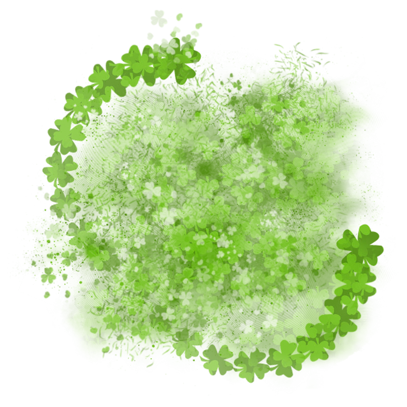 saintpatricksdaytrans800x800-079