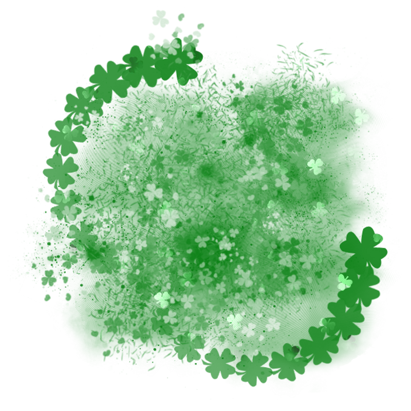 saintpatricksdaytrans800x800-080