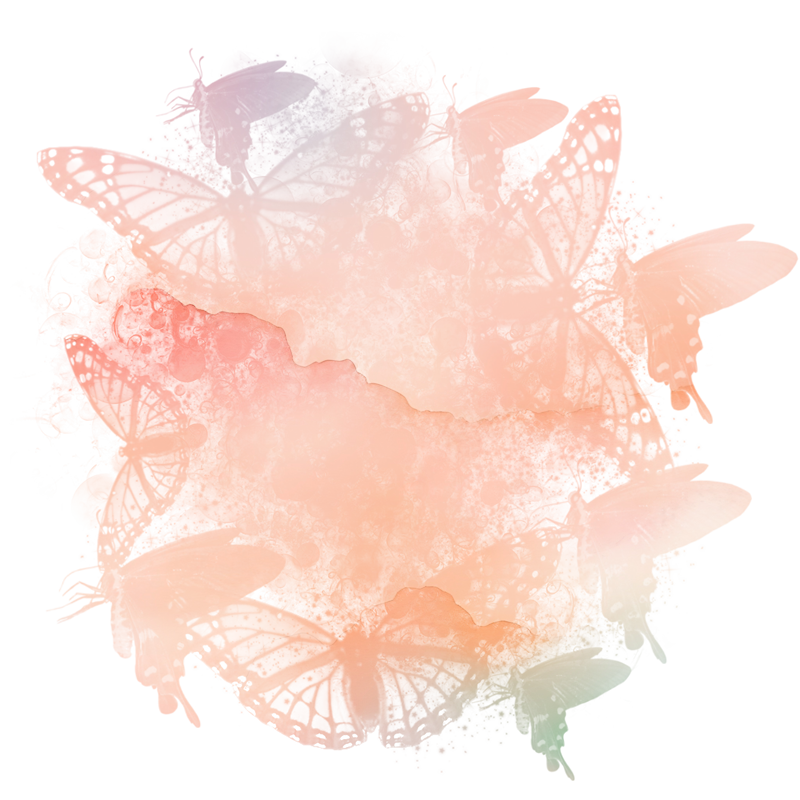 2025-DesignsbyForteButterflisMasked-21