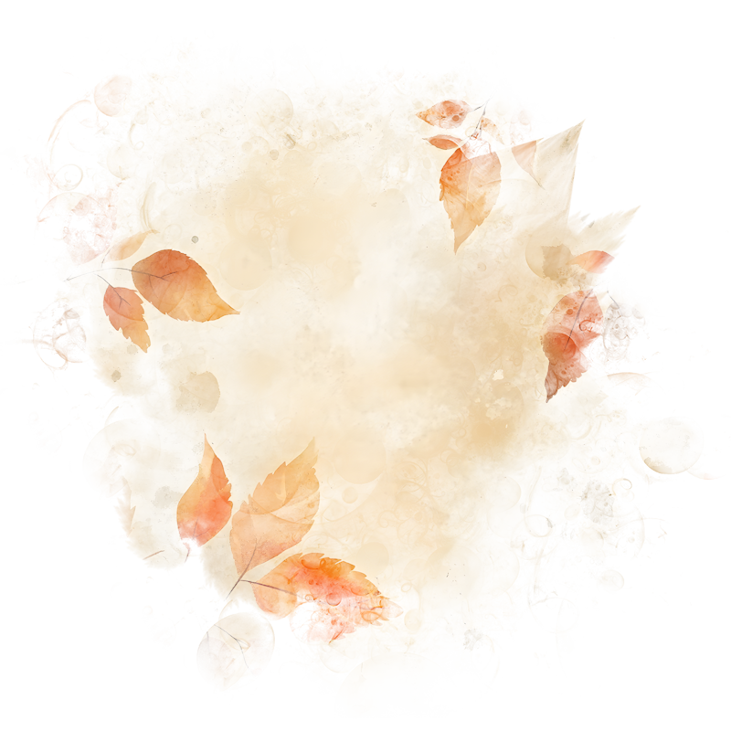 2026-DesignsbyForteFall-72