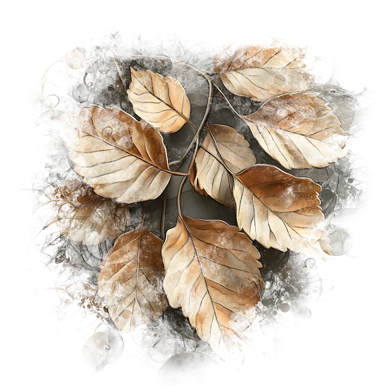 2026-DesignsbyForteFall-78