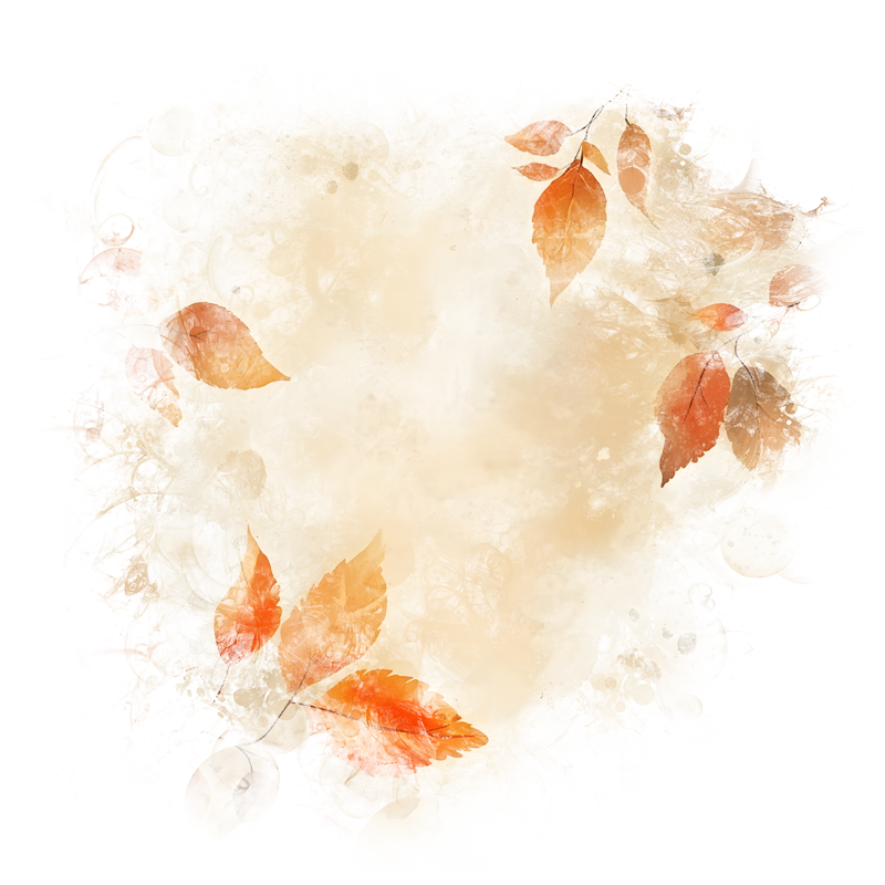 2026-DesignsbyForteFall-79