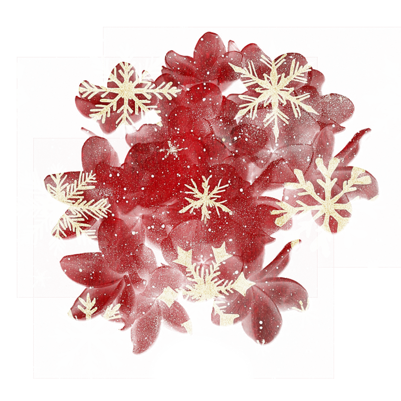 2025-DesignsbyForteXmasMasked-63