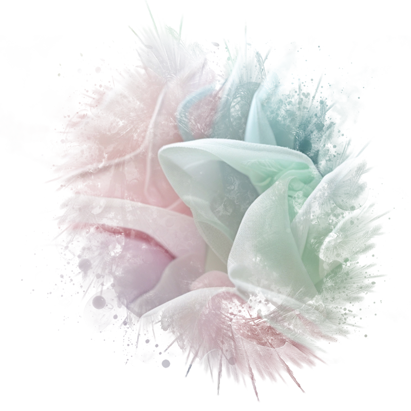 2025-DesignsbyForteMasked800x800-079