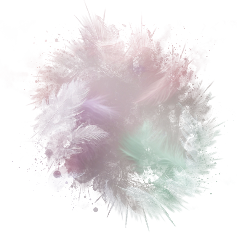 2025-DesignsbyForteMasked800x800-080